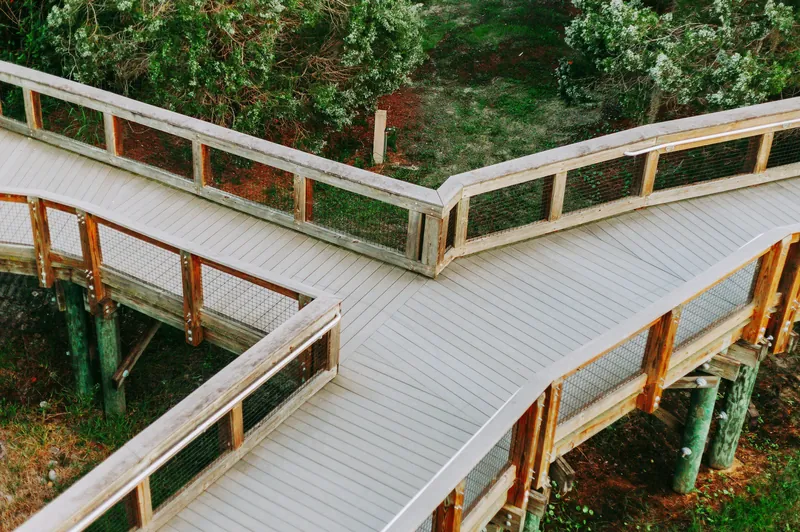 An elevated wooden walkway with railings, extending through greenery and trees.